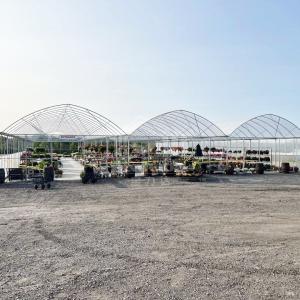 Buy cheap Continuous Structure Multiple Bays Connected Multi Span High Tunnel Greenhouse from wholesalers