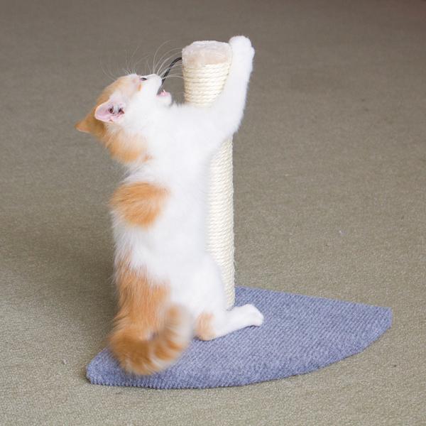Buy cheap OEM Eco Friendly 13.39" Fabric Cat Scratching Post from wholesalers