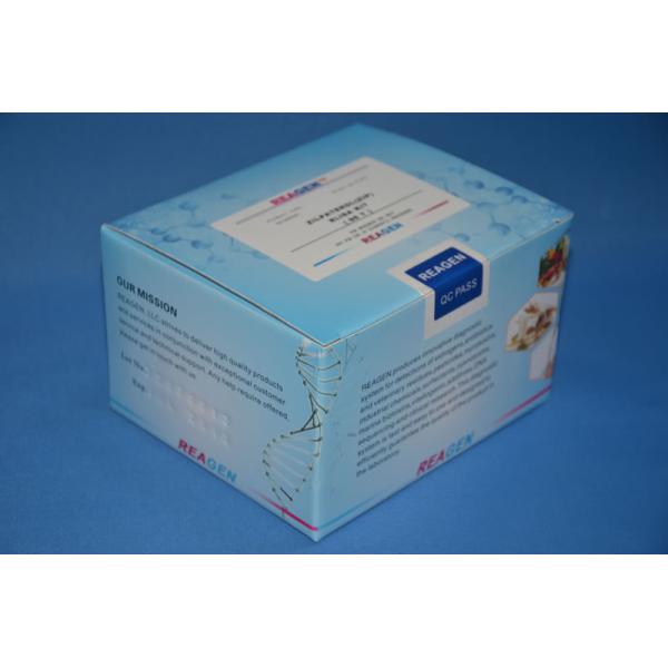 Ampicillin ELISA Test Kit 0.4ppb Sensitivity Quantitative Analysis For Milk