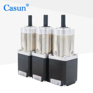 Casun 28mm-57mm NEMA 11 Geared Stepper Motor With Planetary Gearbox