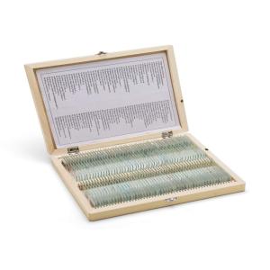 Professional 30pcs Human Tissue Microscope Slides For Medical Education