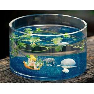 Buy cheap hand blow glass terrarium glass fish tank Hydroponics container product