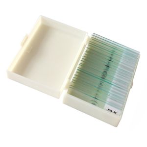 Medical Science Subject Human Organization 15pcs Human Skin Microscope Slide