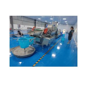 stainless steel onion powder line onion slicing washing drying processing