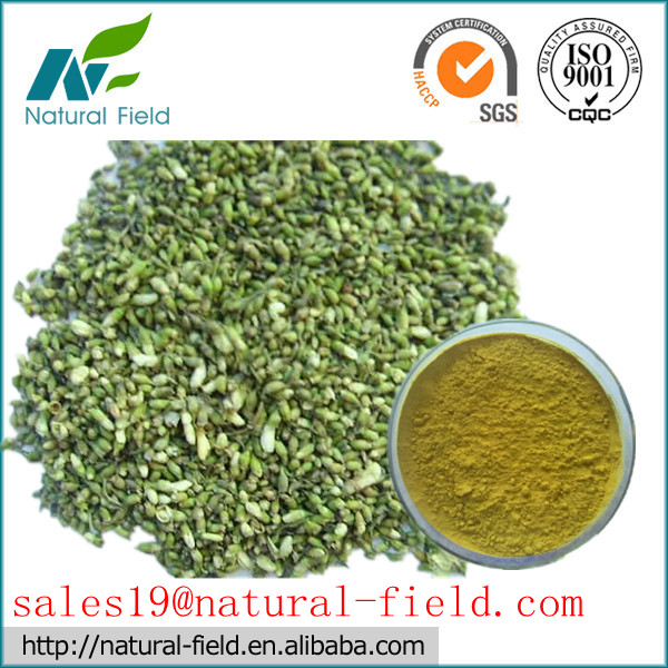 China luteolin 90% HPLC by external method on sale China luteolin 90% HPLC by external method on sale