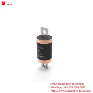 Buy cheap Bolt Screw Electric Vehicle Fast Charging  10KA 20KA Medium Fusing Rated 500VDC New Energy Vehicle Fuse from wholesalers