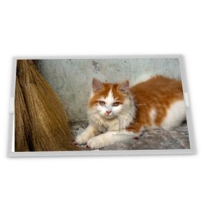 Buy cheap 8 Inch 800*600 A-Si TFT-LCD GT080S0M-N12-1QP1 GT080S0M-N12-1QP2  Industrial Control Screen  Lcd Monitor from wholesalers