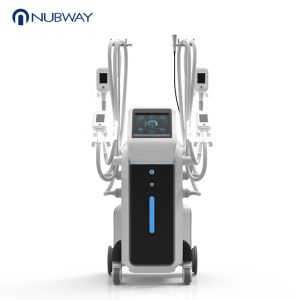 Buy cheap 2019 professional lose weight cool shape fat freezing cavitation RF cellulite machine for salon from wholesalers