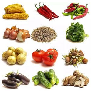 Buy cheap SS304 Multifunctional Potato Ginger Washing And Peeling Machine Automatic from wholesalers