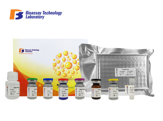 Quality Laboratory Research Human ELISA Kit YKL-40 CHI3L1 Enzyme - Linked Immunosorbent Assay Kit Customized for sale