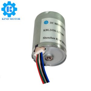 Factory supply low noise micro diameter 24mm 370 BL2430 dc 6v 12v 14.4v 18v 24v