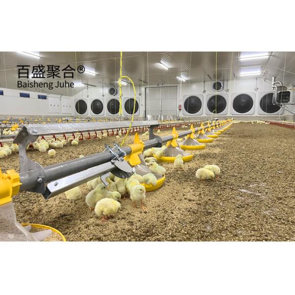 Hot Dip Galvanised Steel Structure Chicken Poultry Farm Shed for Heavy Load