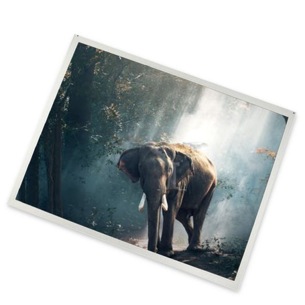 Buy cheap A-Si TFT-LCD 5 Inch 640(RGB)*480 Complete Range of Industrial Screens TX13D200VM5BAA in Stock Lcd Screen from wholesalers