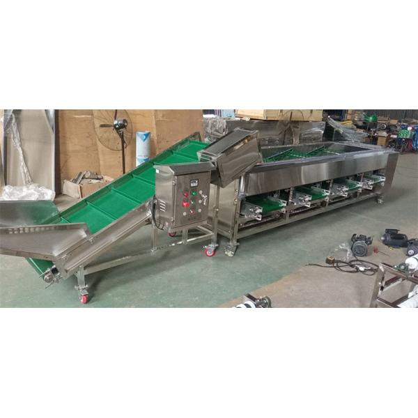 Buy cheap onion sorting machine, onion grading machine, onion sorter grader from wholesalers