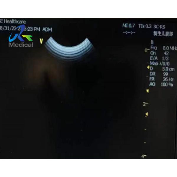 Quality GE 8C-RS Micro Convex Ultrasound Transducer Probe Cable And Crystal Array Replacement for sale