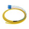 Buy cheap 12 Cores Single Mode Fiber Patch Cord SCUPC Multi Core Connector from wholesalers