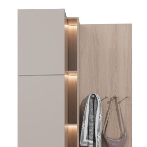 Buy cheap Shoe Cabinet Bookcase With Lamp Belt Design One-piece Wardrobe Support customization from wholesalers