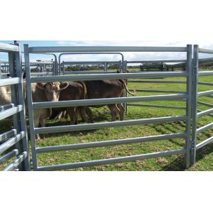 Buy cheap 40x40 1.8M x 2.1M Heavy Duty Portable Cattle Panels For sale 6 Oval Bars 30*60mm from wholesalers