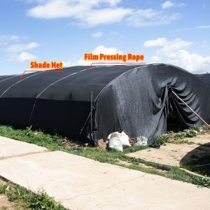 Buy cheap Manual or Electric Roll Up Ventilation Agricultural Polythene Film Covered Mushroom Green House with Hot Galvanized Steel Structure from wholesalers