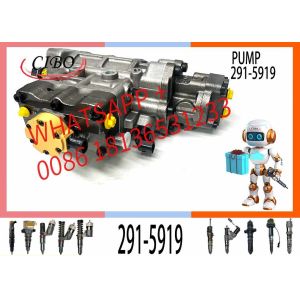 C6.6 Engine Parts Injection Fuel Pump 291-5919 10R-7660 2641A306