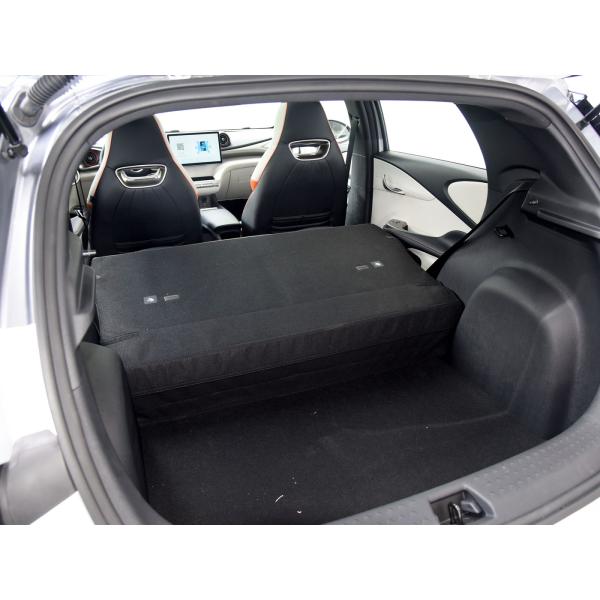 Compact Sedan Electric Car BYD Dolphin Electrico 2024 420KM Knight Edition for Adults