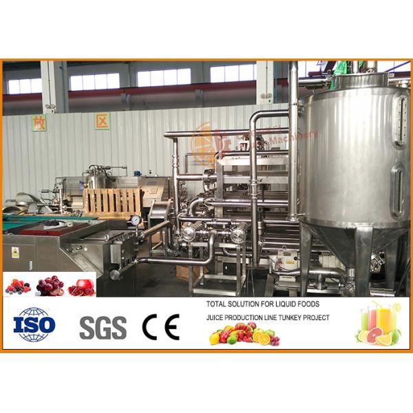 5T/H Raspberry Concentrate Juice Processing line