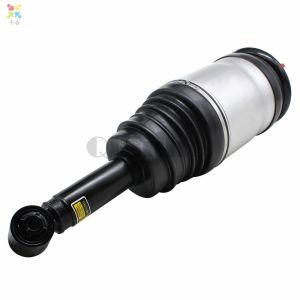 Buy cheap Air Suspension For Land Rover Range Rover Discovery 3 Rear Left & Right Shock Strut RPD501090,RPD 500 800 from wholesalers