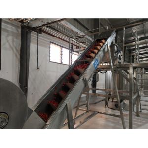Buy cheap 250t/D Multifunctional Tomato Sauce Processing Line from wholesalers