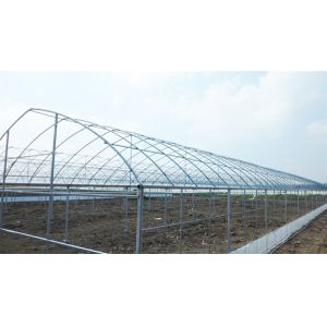 Buy cheap Tunnel Polyethylene Film Greenhouse / Plastic Shed Simple Galvanized Steel Frame from wholesalers
