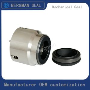 Customization LOWARA-22-X 22mm Pump Mechanical Seal