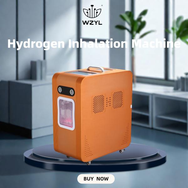 Buy cheap Large Flow Hydrogen-absorbing Machine Anti-inflammatory 3000ml WEIZI Frequency 50Hz Flow 2000ML H2 1000ML O2 from wholesalers