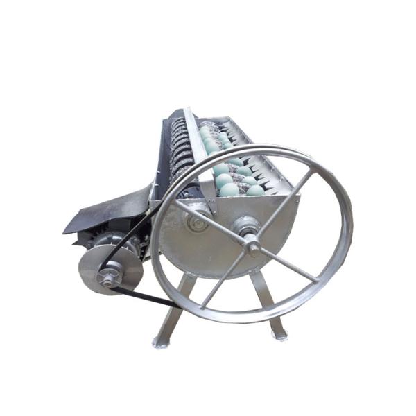Buy cheap Multifunctional Quail Egg Cleaning Machine and Quail Egg Shelling Machine from wholesalers