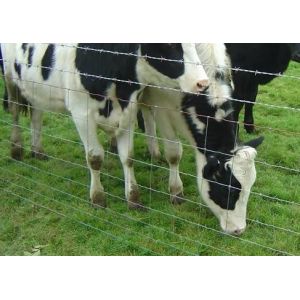 Buy cheap Assembled Heavy Duty Galvanized Cattle Farm Fence 0.8m Height from wholesalers