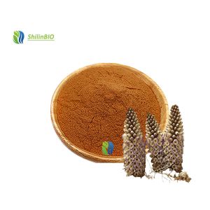 China Food Grade Cistanche Deserticola Extract Powder 10% 20% 40% Echinacoside on sale