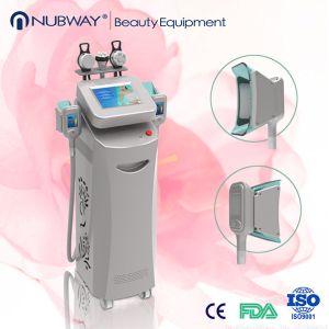 Buy cheap cryolipolysis fat freeze vacuum cryolipolysis liposuction slimming machine with CE from wholesalers