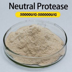 Buy cheap Customized Protease In Baking 50000U/G-500000U/G Flour Gluten Reduction from wholesalers