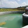 Buy cheap Multifunctional OEM Water Based Coating For Indoor Swimming Pool And Fish Fry Pond Paint from wholesalers