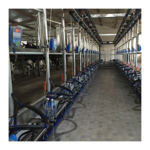Buy cheap Farm Use Electronic Metrology Milking Parlor Automatic Cow Machine System from wholesalers