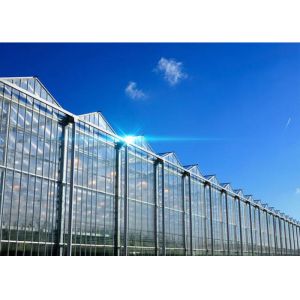 Buy cheap Hollow Glass Style Agricultural Greenhouse With Hot Galvanized Steel Frame product