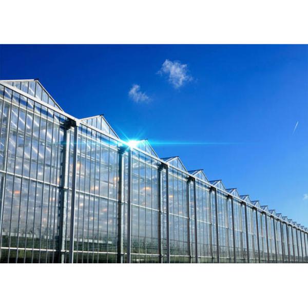Quality Hollow Glass Style Agricultural Greenhouse With Hot Galvanized Steel Frame for sale