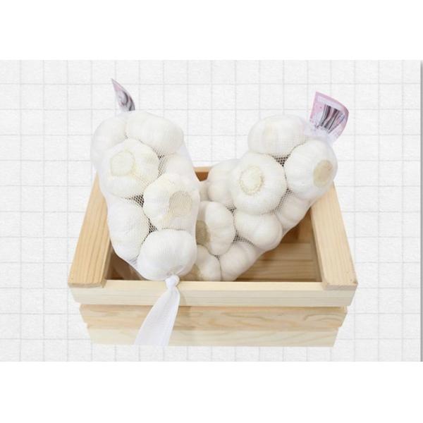 Buy cheap 10kg mesh bag 5cm Fresh Pure White Garlic from wholesalers