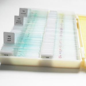 Students Education 100pcs Set Professional Prepared Microscope Slides In Plastic