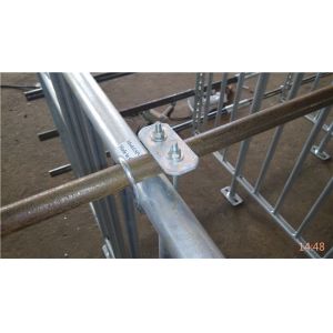 Buy cheap New Design Pig Gestation Crates Sow Farm Equipment Easy To Feed And Manage from wholesalers