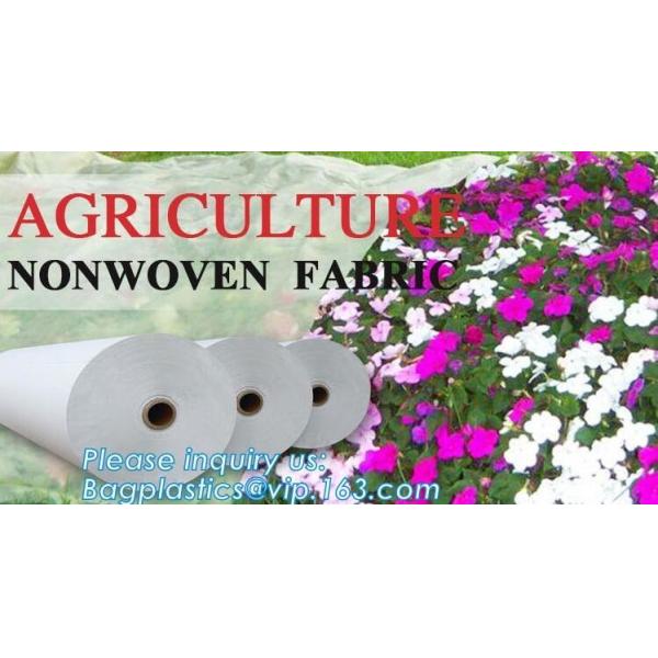 Quality Quality ground cover fabrc mesh, non woven mesh, agriculture nonwoven fabric, 100% new pp with 1-6% UV added, fruit cove for sale