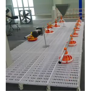 Buy cheap Customized Plastic Broiler Cage Equipment Automatic Poultry Breeding Equipment from wholesalers