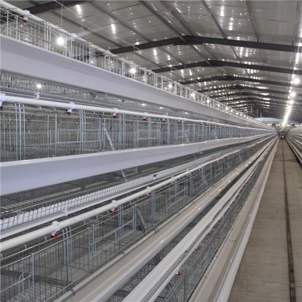 Quality 20 Years Broiler Chicken Cage Automatic Control Ventilation And Temperature for sale