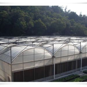 Buy cheap Customized Multi Span Agriculture Greenhouse for Vegetable Optional Irrigation System from wholesalers