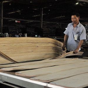 Buy cheap Decoration Natural Walnut Wood Veneer Excellent Burl Grain For High Class Furniture Making FSC China Manufacturer from wholesalers