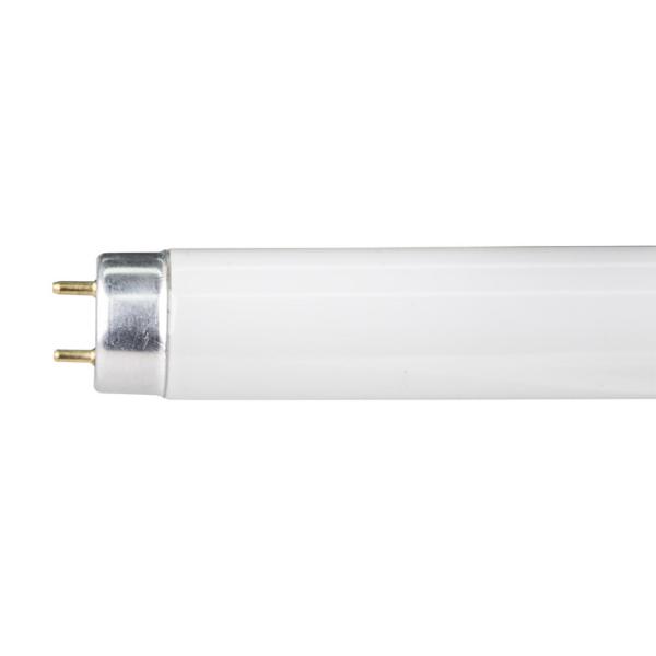 Buy cheap 83 CRI T8 Tri-phosphor Tubular Fluorescent Lamp G13 10000hours from wholesalers