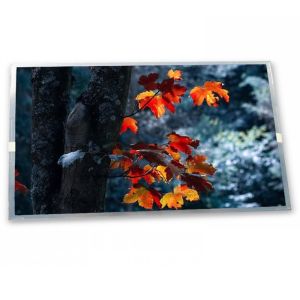 Buy cheap G156HAB02.4 Lcd Module 15.6'' Touch Screen Monitor 1920*1080 Lcd Display Modules in Stock Fast Shipping from wholesalers